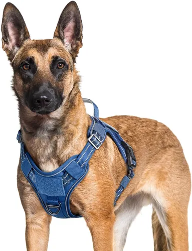 Miniatura 32 de rabbitgoo - Arnés para perros pequeño sin tirones, chaleco táctico de servicio con Molle y asa de control, arnés militar ajustable y reflectante