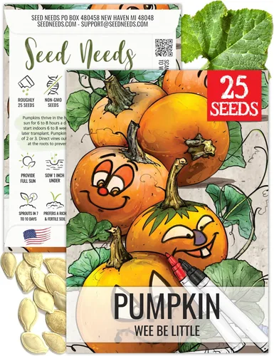 Miniatura 39 de Seed Needs, Jack O' Lantern - Semillas de calabaza – 25 semillas tradicionales para plantar Cucurbita Pepo – Sin OMG y sin tratar, ideal para tallar