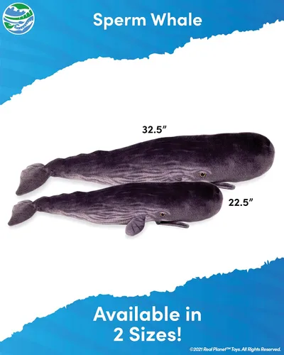 Miniatura 3 de Real Planet Peluche de ballena, regalo realista para niños de todas las edades, peluche grande de ballena esperma del océano, regalos de cumpleaños
