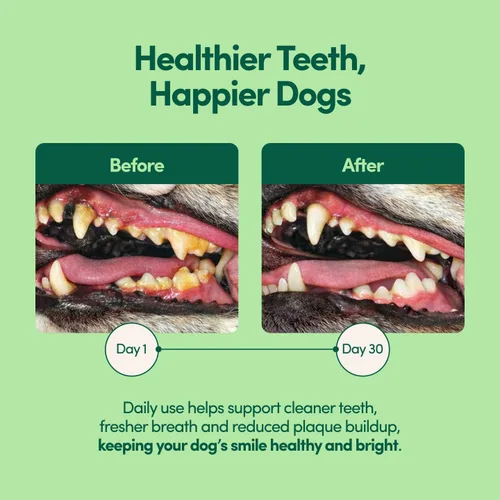 Miniatura 2 de Fifth & Fido Breath Buddy Polvo Dental para Perros para Aliento más Fresco y Dientes más Limpios, Polvo de Limpieza de Dientes para Gatos y Perros
