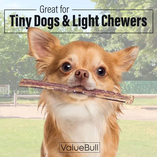 Miniatura 2 de ValueBull Bully Sticks para perros pequeños, extrafinos de 6 pulgadas, 50 unidades, totalmente naturales, alimentados con pasto, de un solo