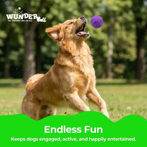 Miniatura 9 de WACKYwalk'r WUNDERball Juguete Duradero de Buscar para Perros – Pelota de Goma Natural Indestructible, Más Segura que las Pelotas de Tenis, Flota