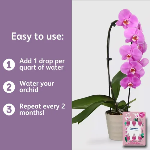 Miniatura 6 de Chrysal Gotas de Alimento para Orquídeas — Cuidado de Orquídeas — Un Paquete para un Suministro de un Año — Alimento Floral Concentrado para Todas