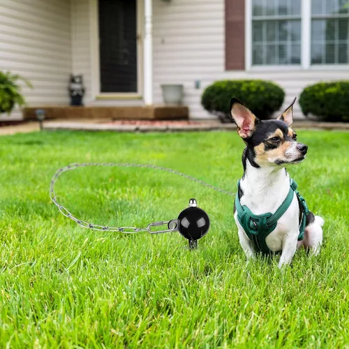 Miniatura 9 de SELEWARE Estaca de amarre para perro al aire libre, anclaje antióxido para perros grandes de hasta 220 libras, estaca giratoria libre, incluye
