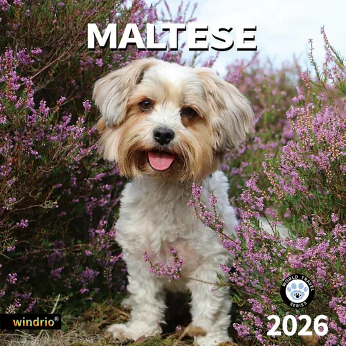 Miniatura 14 de Calendario de Pared 2026, Calendario 2026, Noviembre 2025 - Diciembre 2026, Calendario de Pared de Animales Bebés, 12" x 24" Abierto, Meses