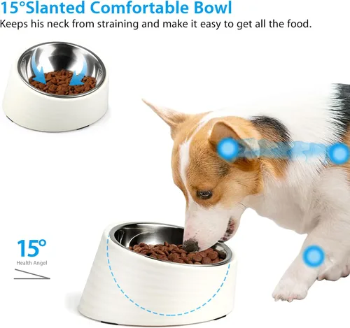 Miniatura 4 de Uppetly Tazón Inclinado para Perros 1 Taza, Cuenco de Comida para Perros y Gatos de Acero Inoxidable Inclinado 15°, Comedero Antideslizante