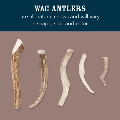Miniatura 2 de Marca Amazon – Cuerno de alce dividido Wag con desprendimiento natural, de larga duración para masticadores agresivos, XL
