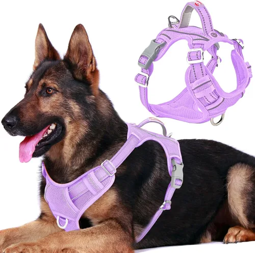 Miniatura 70 de BARKBAY Arnés para perro sin tirones con bolsillo para etiqueta de identificación, resistente, reflectante, fácil control para perros grandes