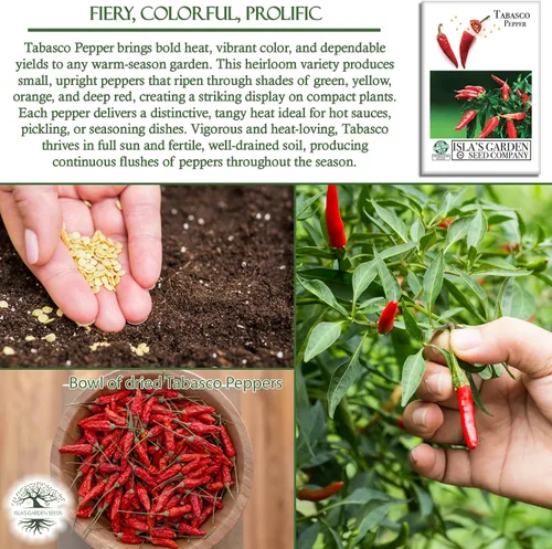 Miniatura 5 de Semillas de chile rojo vivo "Tabasco" para plantar, más de 50 semillas tradicionales por paquete, semillas de jardín de Isla