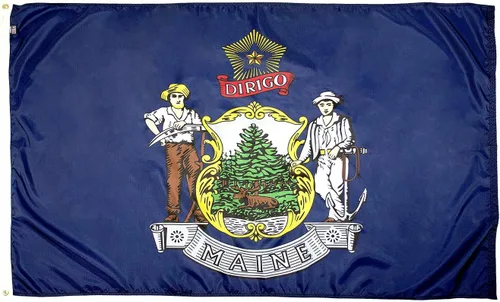 Miniatura 45 de FlagSource Bandera del estado de nailon de Iowa, fabricada en los Estados Unidos, 4 x 6 pies Iowa 4x6