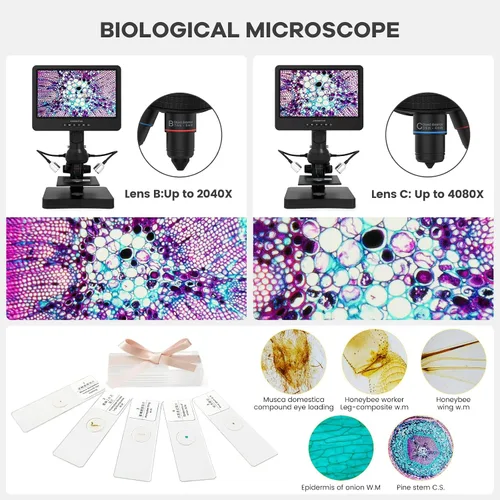 Miniatura 6 de Andonstar AD249S-P Microscopio digital HDMI de 10.1 pulgadas, grabación de video UHD de 4000 x 3 lentes 2160P, kit de microscopio biológico