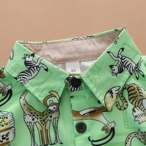 Miniatura 3 de HOQWOIAN Conjunto de ropa de 2 piezas de camisa de manga corta para niño
