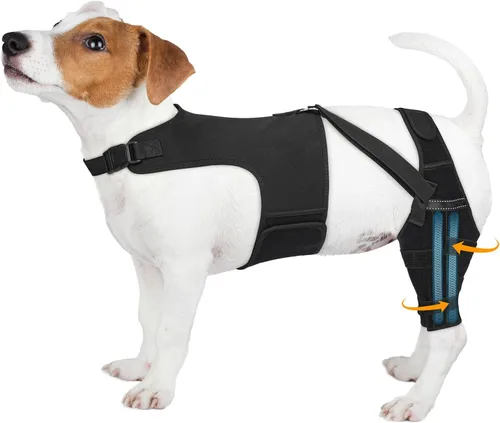 Miniatura 10 de Rodillera para perro para pierna trasera desgarrada, ajustable para pierna trasera con 5 estabilizadores, reduce el dolor, lesiones de ligamentos