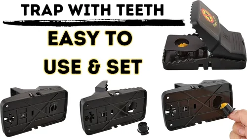 Miniatura 2 de Paquete de 6 trampas para ratas con dientes, para interiores y exteriores, reutilizables, fáciles de instalar, potente resorte de acero inoxidable