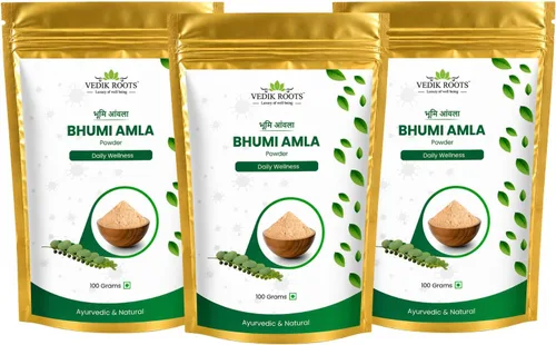 Miniatura 12 de Polvo orgánico de Bhumi Amla – Rico en Vitamina C Antioxidante – Apoya la Función Inmune Saludable 100 Gm (Paquete de 2)