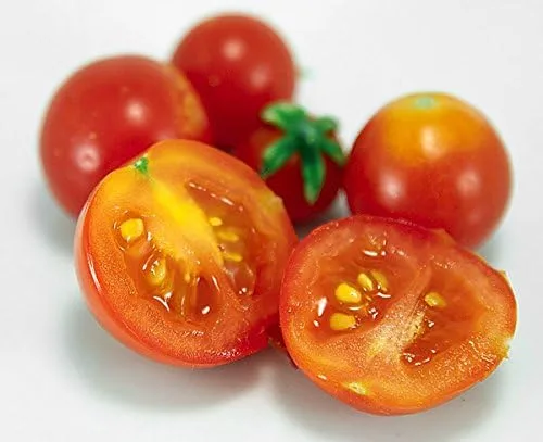 Miniatura 5 de Más de 30 semillas de tomate Red Robin Enano Determinadas Heirloom No OGM Dulce y Sabroso Bajo Ácido Raro Mini, Lycopersicon lycopersicum
