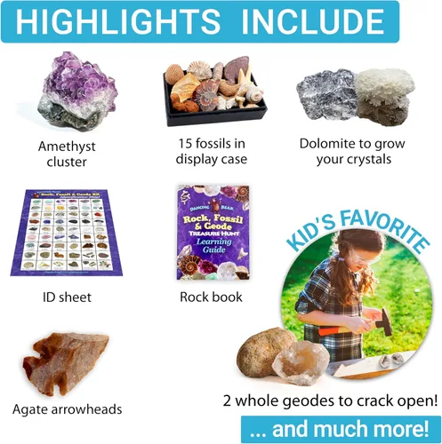 Miniatura 4 de DANCING BEAR Paquete de fósiles de Geología: 2 kits de actividades STEM: actividad de clasificación de rocas, minerales y geodas y fósiles
