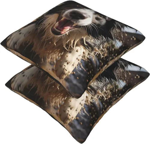 Miniatura 6 de 2 fundas de almohada cuadradas de 16 x 16 pulgadas, fundas de almohada suaves de pastor Border Collie, fundas de almohada modernas para decoración