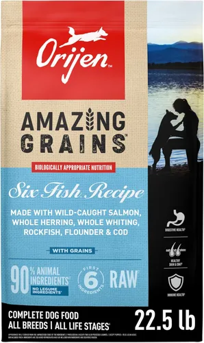 Miniatura 12 de ORIJEN Amazing Grains - Alimento seco para perros con alto contenido de proteínas, receta original, bolsa de 22.5 libras