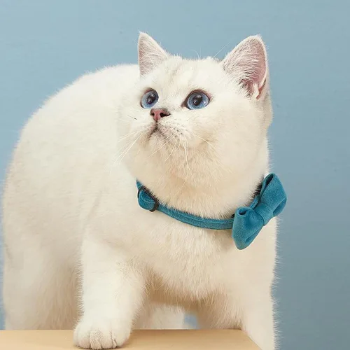 Miniatura 5 de Love Dream Collar de gato con pajarita y campanas, paquete de 2 collares de terciopelo de seguridad para gatitos con pajarita extraíble para gatos