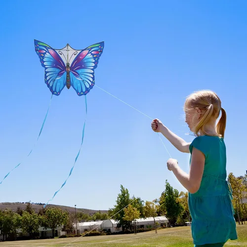 Miniatura 6 de Kite for Kids & Adults, Easy to Fly Large Kites for Beginner, Beach Kites with Durable Nylon, Family Fun Activities