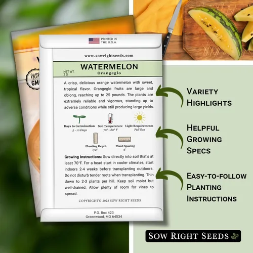 Miniatura 2 de Sow Right Seeds - Semillas de sandía Orangeglo para plantar - Paquete de reliquia sin OMG con instrucciones para plantar y cultivar un huerto