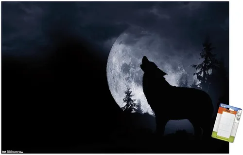 Miniatura 12 de Trends International Póster de pared de lobo - aullido, 14.725 x 22.375 pulgadas, versión enmarcada de madera de granero