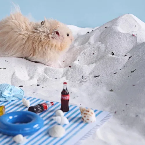 Miniatura 6 de DR.DUDU Arena de baño para hámster, 6.6 libras, libre de polvo, arena del desierto o arena para orinal para hámster, chinchillas, jerbo, hámsters