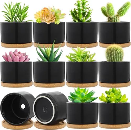 Cindeer 12 juegos de macetas de cerámica para suculentas, macetas de cactus con bandeja de bambú, maceta cilíndrica pequeña con platillos de bambú