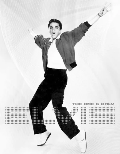 Desperate Enterprises Elvis Presley - Letrero de chapa en blanco y negro - Decoración de pared vintage de metal nostálgica - Fabricado en EE. UU
