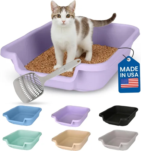 Miniatura 28 de KittyGoHere - Caja de arena para gatos mayores, sartén pequeña con cuchara jumbo de mango largo, caja de arena para gatos de entrada baja, ligera