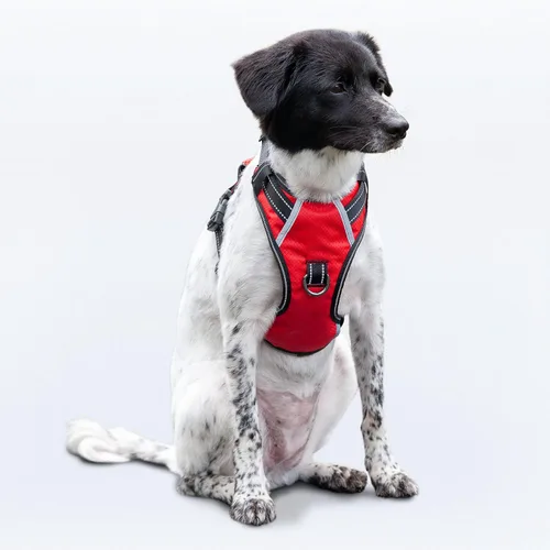 Miniatura 35 de Arnés antitirones para perro pequeño con 2 hebillas de liberación rápida y mango de fácil control, chaleco suave reflectante sin estrangulamiento