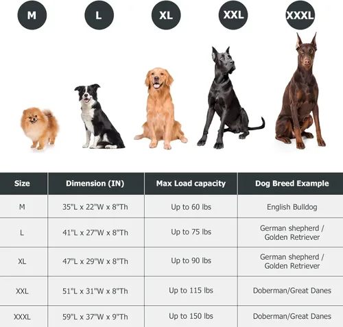 Miniatura 4 de Cama Elevada para Perros para Exteriores, Catre Elevado XL para Perros con Malla Lavable, Cuna Refrescante para Mascotas a Prueba de Mordidas