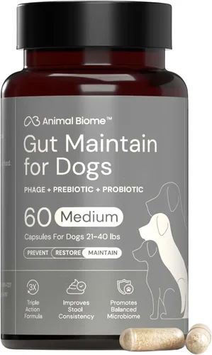 Miniatura 12 de AnimalBiome KittyBiome - Probióticos para gatos con S Boulardii (30 cápsulas) KittyBiome - Mantenimiento intestinal de triple acción fago