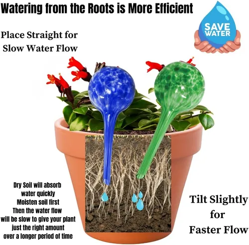 Miniatura 3 de Evelots Globos de riego de plantas (paquete de 3) - Vidrio soplado a mano - Sistema automático de riego de agua - Interior/exterior - Deja tu hogar