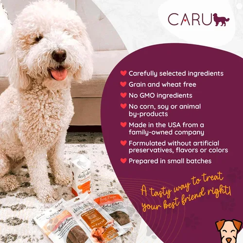 Miniatura 4 de Caru Soft n' Tasty Baked Bites Salmon Bites - Golosinas para perros para entrenamiento, carne real con arándanos y arándanos, bolsas de 4 onzas