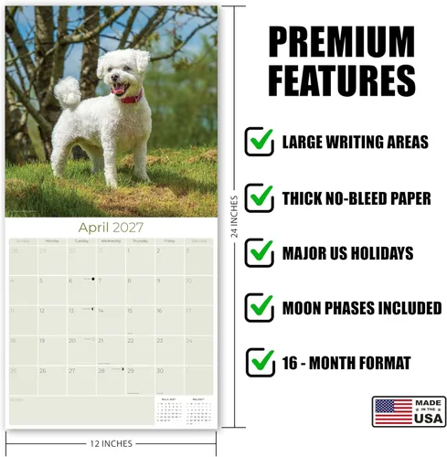 Miniatura 5 de Razas de Perros 2017 BICHON FRISE
