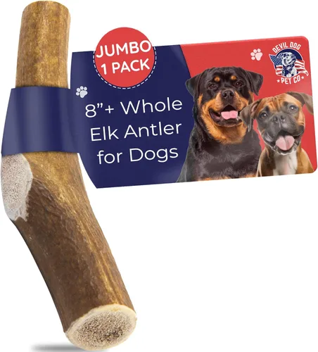 Miniatura 11 de Devil Dog Pet Co. Cornamentas de alce para perros, extra grandes 17,8 cm+, 1 paquete, grado A, masticable duradero para masticadores agresivos, asta