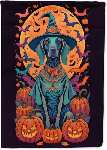 Miniatura 30 de Caroline's Treasures DAC1466GF - Bandera decorativa para jardín de Halloween de Affenpinscher Witchy para jardín, decoración para patio exterior