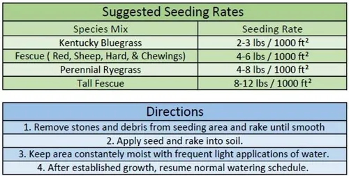 Miniatura 2 de Jacklin Seed - Mezcla Heisman 85% Kentucky Bluegrass, 15% Ryegrass perenne Semilla de césped certificada (50 libras (20,000 pies cuadrados)