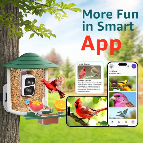 Miniatura 5 de birdsnap® TUC - Comedero para pájaros con cámara 2K HD en vivo con tarjeta de 32 GB, detección y notificación automática de inteligencia artificial