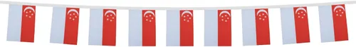 Miniatura 5 de AZ FLAG Singapur 19.7 ft BUNTING Flag 20 banderas 9'' x 6'' - Banderas de cuerda de Singapur 5.9 x 8.3 in