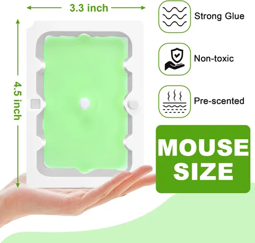 Miniatura 2 de Qualirey Paquete de 6 trampas de pegamento para ratón, trampas superadhesivas tamaño ratón para ratones y ratas, prearomatizadas, no tóxicas