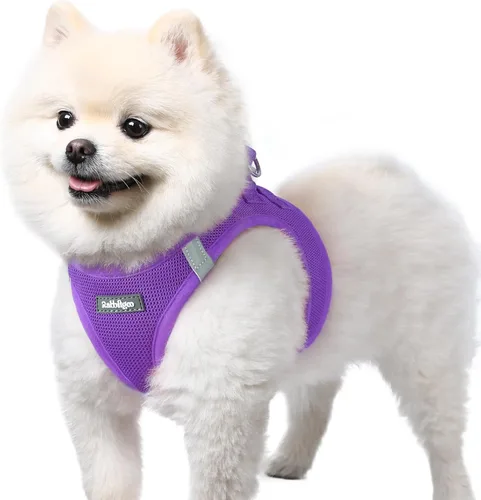 Miniatura 112 de rabbitgoo Arnés para perro pequeño, chaleco de malla suave para cachorros con hebilla de seguridad, arnés reflectante transpirable para mascotas