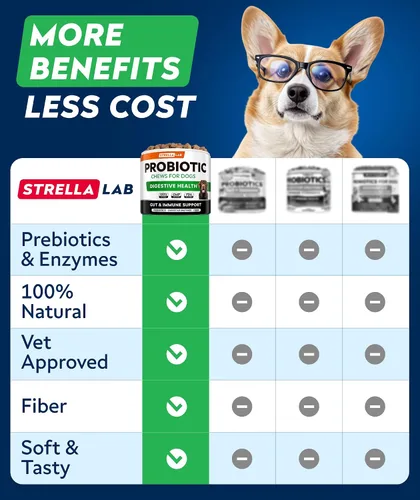 Miniatura 7 de Probióticos para perros para la salud digestiva y enzimas – Diarrea, gases, alivio del malestar estomacal y alergias de temporada – Probióticos