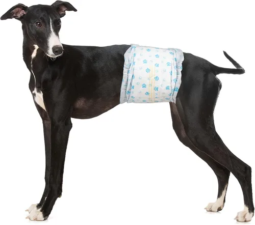 Pet Soft Pañales desechables para perros machos – Pañales para perros machos, pañales para cachorros con indicador de humedad, 48 unidades, tamaño