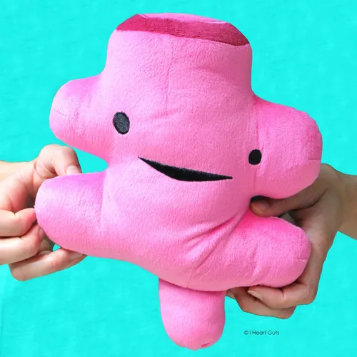 Miniatura 6 de I Heart Guts Rectum Plush – Lindo juguete educativo de órgano para hemorroides y cirugía colorrectal – Divertido regalo de recuperación