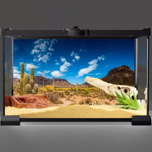 Miniatura 2 de AWERT Vinilo de 48 x 18 pulgadas para reptiles, fondo de hábitat de cielo azul, oasis de cactus y desierto