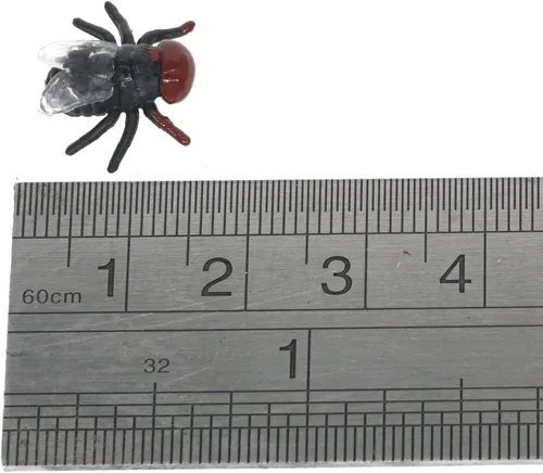 Miniatura 4 de Cooplay 30 piezas de moscas falsas insectos, insectos, insectos, reptiles, bromas, trucos de miedo, cerebros difíciles para Halloween, día