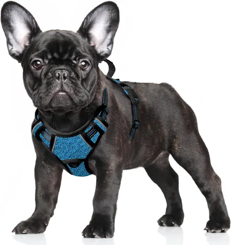 Miniatura 59 de BARKBAY Arnés para Perro Sin Tirones Talla Grande Arnés Reflectante para Perro con Clip Frontal y Asa de Control Fácil para Caminar Entrenar Correr